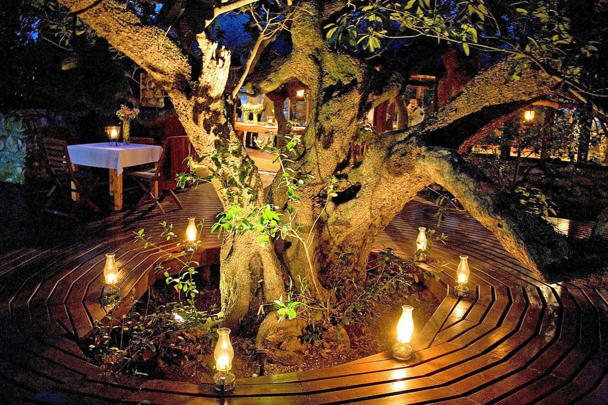 Mosaic Lagoon Lodge Stanford Bagian luar foto